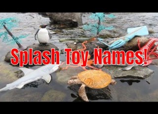  Play Learn Ocean Toy Names