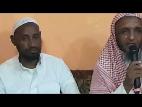 Sheekkota 3 Hiin Dhaamsaa Dirqama Caqasuu Qabdan