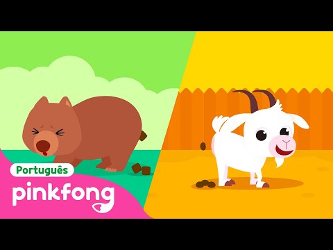 Olhe Um Cocô Que Cheiro Ruim Canção De Animal Pinkfong Bebê Tubarão Canções Para Crianças