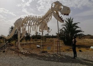  حماس السفر وبدايه جنون المغامرة