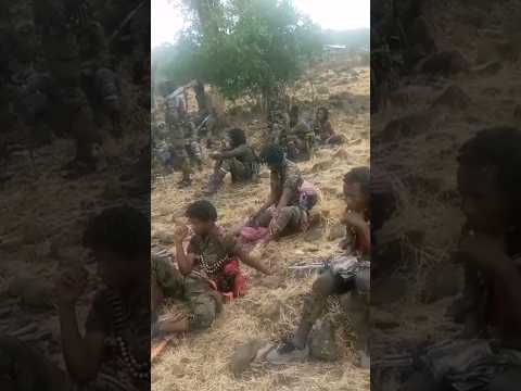 Wbo Wbo Ola Finfinnee Oromia Oro Oromiyaa Oromo Oromoo Oromomusic Jajjabeeoromoo Shorts