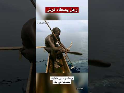 الرجل الذي يصطاد سمك القرش بيديه العاريتين