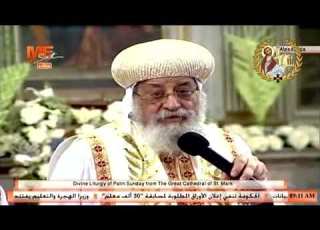 لمحات من عظة أحد الشعانين قداسة البابا تواضروس الثاني Palm Sunday 2022