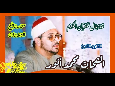 الشيخ الشحات محمد أنور وما تيسر من سور المجادلة والفجر والبلد