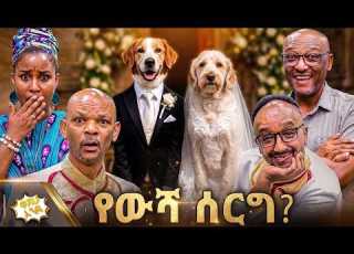  በሰርግ ያገባች ውሻ አንቺን ተከትዬ ኬኒያ እገባለሁ የሚለው የእንግዳው አስቂኝ ገጠመኝ ዋሸው እንዴ Abbay TV