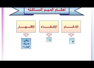  أحكام الميم الساكنة دورة نور البيان