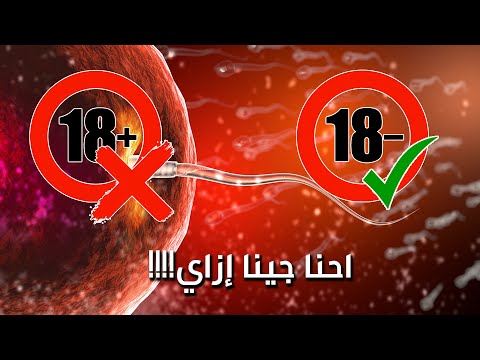 احنا جينا ازاي 18