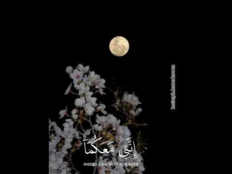 قال لا تخافا إنني معكما أسمع وأرى حالات واتس ايات قرانية قصيرة للقارئ محمد ديبيروف تلاوات قال لا تخافا إنني معكما أسمع وأرى حالات واتس ايات قرانية قصيرة للقارئ محمد ديبيروف تلاوات