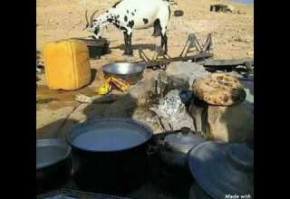 صوت دان ابوقصي باعباد كلمات الشاعر الكبير عمر بن عجلان العليي