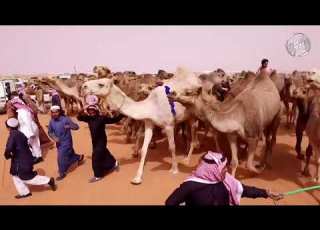 مـنـقـيـة سـعـود بـن نـايـف ال حـثـلـيـن
