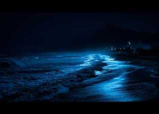  Le Bruit Des Vagues Pour Se Ressourcer Ambiance Marine Sur Fond Noir Pour Un équilibre émotionnel