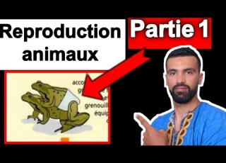 La Reproduction Chez Les Animaux 2 Année College PARTIE 1