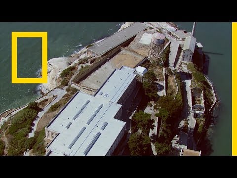 قروش سجن الصخرة ناشونال جيوغرافيك أبوظبي