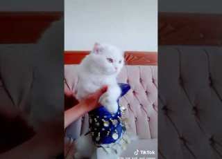 ناعمة و طارية
