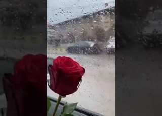  ستوريات حالات واتساب اغنية يمه خلص حيلي يمه