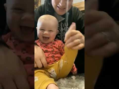 الو بابا فين