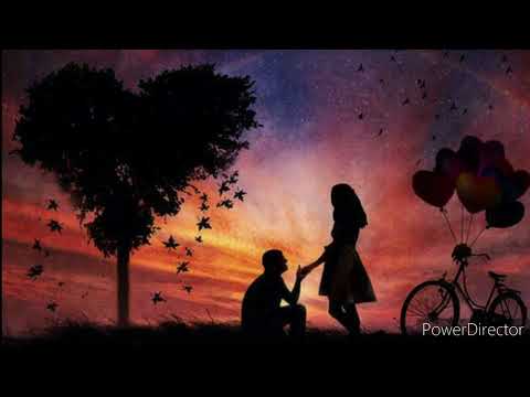 استاد ساربان تا به کی ای مه لقا در بدرم میکنی