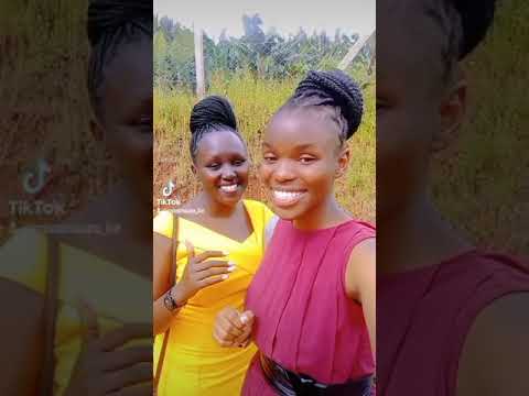 Ole Ole By Signature Melodies