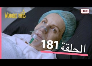  الطيور الجريحة الحلقة الكاملة 181 مدبلج عربي