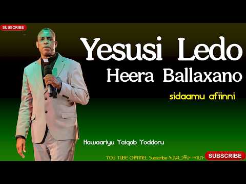 Yesusi Ledo Heera Ballaxano Yirba Borcha Sidaamu Afiinni Shiqannoha Qullaawu Qaali Rosichcho