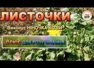 ЛИСТОЧКИ ПЛЮС