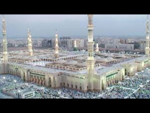 قلبى اللى بلد الحبيب يهيم امين الدشناوى