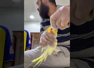  غر كروان كوكتيل بالقوة بدون ما اشوفه Fyb