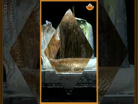 ನ ಬ ನ ಜನ ಕ ಕ ರ ಇ ಬ Video Song Nambina Janoku Koru Imbu Manjunatha Swamy Tulu DevotionalSong