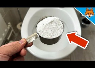 Kippe WASCHPULVER In Die TOILETTE Und Du Wirst Mir EWIG DANKBAR SEIN Genialer TRICK