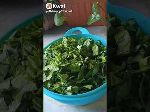 السبانخ بطريقة سهلة وسريعة صحية و بدون لحم اكلات اكلات سريعه فولو لايك اشتراك صحي