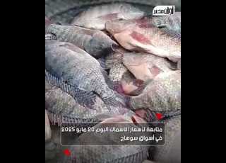 صاحى وبيلعب أسواق الأسماك فى سوهاج ت شعل السوشيال ميديا فى سوهاج أعرف السعر كام
