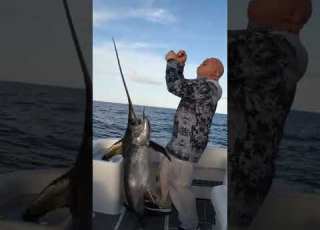  Swordfish Is No JOKE