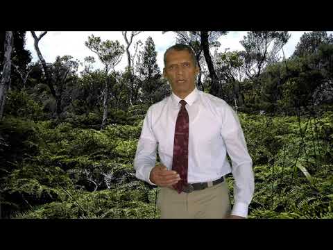 E Nga Kaumatua To You The Elders