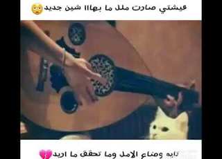  عيشتي صارت ملل