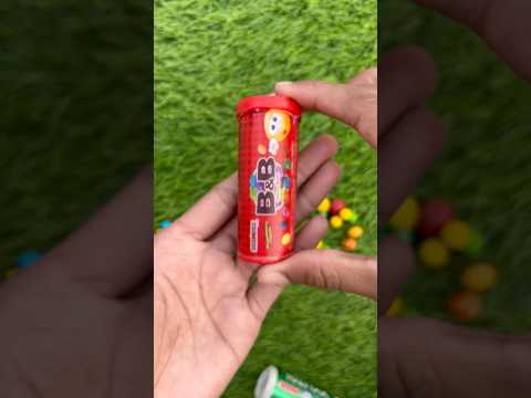 Oren S Kitten Chases His Grandmother Comedy Cat Cute Catlovers Cutecat Pets Funny