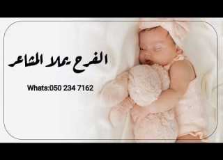 اغنية مولوده 2025 الفرح يملا المشاعر اجمل زفات المواليد 2025