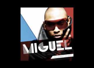 Miguel Vixen