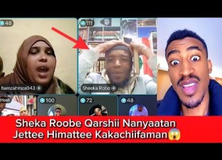  Sheeka Roobe Qarshi Nyaatan Jedhamanii Kokkee Qabamanii Kakachiisan