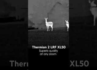  Pulsar Thermion 2 LRF XL50 Thermal Imaging Riflescope Hunting In HD Pulsarvision