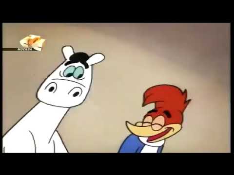 نقار الخشب ساعة كاملة من الضحك