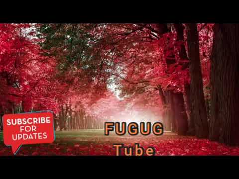 Fandishe Mul Ata Sirboota Durii Jaalatamo Dhabaman Keessa Fandishe Mul Ata Sirboota Durii Jaalatamo Dhabaman Keessa