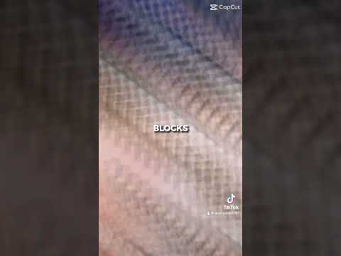 Joelembiid Vs Nikolajokic Tiktok Capcut Versus