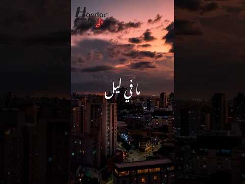 مافي ليل يجاري ليلي مافي ليل ناصيف زيتون رحمة رياض ما في ليل Shorts