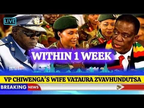 E D Mnangagwas Führung Am Rande