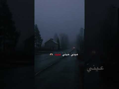 اغاني حب عيني عيني عليك اليسا أغاني ستوريات انستا