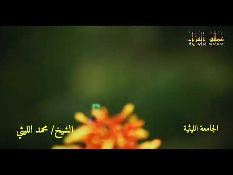 الأنعام الحبش 95 الأروع والأجمل لعملاق القراء الشيخ محمد الليثي رحمه الله