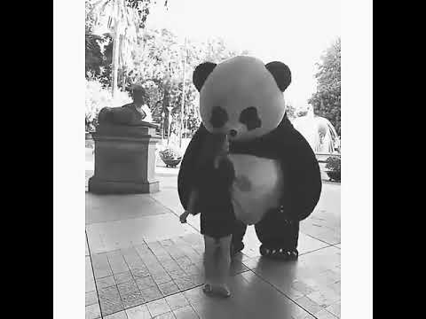 مين بحب الباندا