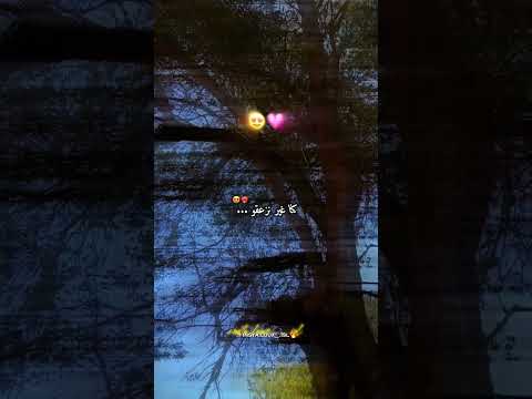 كنا غير نزعقو