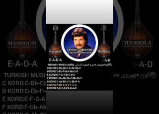 چنگیز کوشکونر CENGIZ COSHKUNER MUSIC GUITSR VIOLIN TURKISH MUSIC