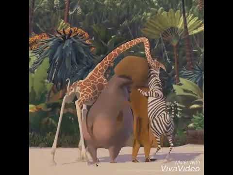 اغنيه عريسنا حلو محمود الليثي